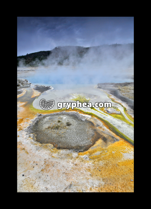Saphyr Pool - Source hydrothermale (Yellowstone NP, USA) - gryphea.com
